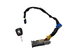 Uždegimo Spynelė Peugeot 206 N0501539 4162Z1 Valeo 1082