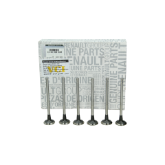 Vožtuvas Komplektas 132020965R Renault