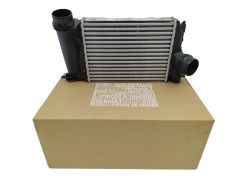 Tarpinis Aušintuvas Naujas Originalus 144614ED0A Renault