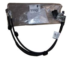 Gnybto spaustukas Originalus 9838239880 Citroen Peugeot