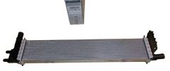 Tarpinis Aušintuvas Naujas Originalus 214108831R Dacia