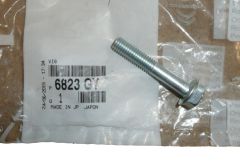 Varžtas Pompy Wody Naujas Originalus 6823.GY 6823GY Citroen C1 Peugeot 107