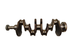Alkūninis Velenas 8200416793 122012850 R519 Renault K4M760 4725
