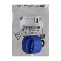 Galinis Dangtelis Wlewu Mocznika Naujas Originalus 9813850980 Citroen Peugeot