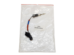 Išmetamųjų Dujų Temperatūros Jutiklis Renault 226400469R Originalus