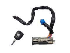 Uždegimo Spynelė Peugeot 206 N0501539 4162Z1 Valeo CA1002