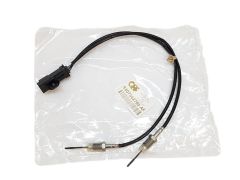 Išmetamųjų Dujų Temperatūros Jutiklis Citroen Peugeot 9807562780 QPlus