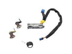Uždegimo Spynelė Peugeot 206 N0501539 4162Z1 Valeo 1036