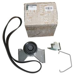 Pavaros Diržo Įtempiklis Naujas Originalus 117205500R Dacia Duster