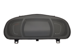 Spidometras Renault Scenic 4 248100254R 7734