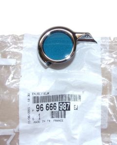 Dangtelis Naujas Originalus 96666987EJ Citroen