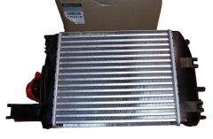 Tarpinis Aušintuvas Naujas Originalus 144967634R Renault Dacia