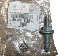 Varžtas Kołyski Silnika Naujas Originalus 9672830980 Citroen C3 3 DS3
