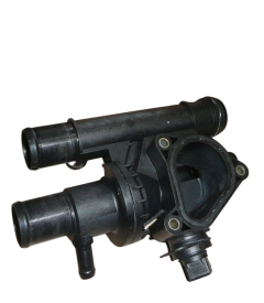 Termostato Korpusas Renault Espace IV 2,2 DCI 8200154296