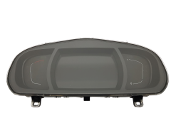 Spidometras Renault Scenic 4 248100665R B