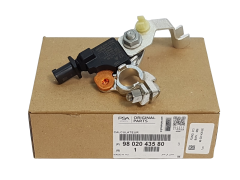 Gnybto spaustukas Citroen Peugeot 9802043580 Originalus