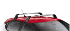 Stogo Bagažinės Naujas Originalus 1613434380 Citroen