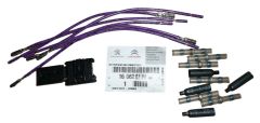 Žibintų laidai Originalus Peugeot 307 407 1606248780