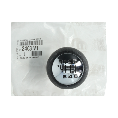 Pavarų svirtis Originalus Citroen Peugeot C4 307 407 2403V1