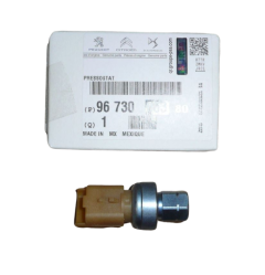 Oro Kondicionavimo Jutiklis Originalus Citroen Peugeot C3 C4 207 308 508 9673006380