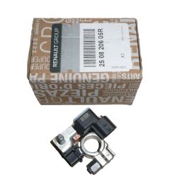 Gnybto spaustukas Naujas Originalus 250820605R Renault