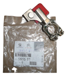 Akumuliatoriaus Korpusas Originalus Citroen Xsara Picasso 561581