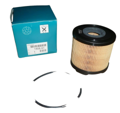Degalų Filtras Originalus Citroen Peugeot 206 306 406 2.0-2.2HDI 1906A1
