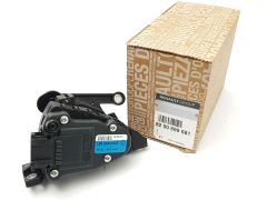 Pedalo potenciometras Originalus Renault Clio II Kangoo Thalia 8200699681