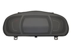 Spidometras Renault Scenic 4 248100254R
