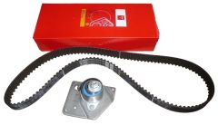 Paskirstymo diržo komplektas Naujas Originalus 8671019546 Renault