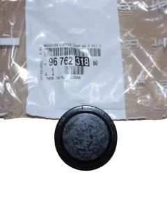 Galinis Dangtelis Naujas Originalus 9676231880 Citroen Peugeot