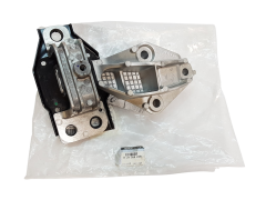 Variklio Atrama Renault Scenic 2 1.5 DCI 112105524R Naujas Originalus