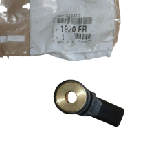 Detonacijos Jutiklis Originalus Citroen Peugeot C2 C3 206 1920FR