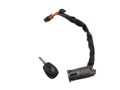 Uždegimo Spynelė Logan Duster Sandero 6001546809 N0501898 1164