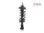 Amortizatorius Priekis 543023828R 540100864R 93463333 Renault Trafic 3 2.0 DCI