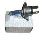 Lemputė H4 12V 60/55W Naujas Originalus 267179842R Renault