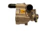Vairo Stiprintuvo Siurblys Master II Trafic Laguna 2.0 PV-D021 OE 491102294R
