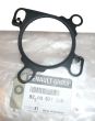 Tarpinė, sandarinimo žiedas Zaworu EGR Naujas Originalus 8200577398 Renault