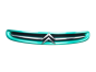 Radiatoriaus Grotelės 7804J7 9632099177 Citroen Xsara Picasso 99-03 1015