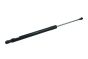 Bagažinės amortizatorius 5G9827550 B14193 VW Golf 7 Borsehung