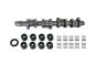 Kumštelinis Velenas Komplektas 038109101AH B11307 VW Audi Seat Skoda Borsehung