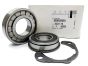 Guolis Originalus Citroen Peugeot ML6C 237273 N40701H100 28TMO7