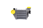 Tarpinis Aušintuvas 1J0145803M 11451418101 VW Audi Seat Skoda Vika