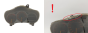 Spidometras Toyota Celica 83800-2B130 157510-0672 2070