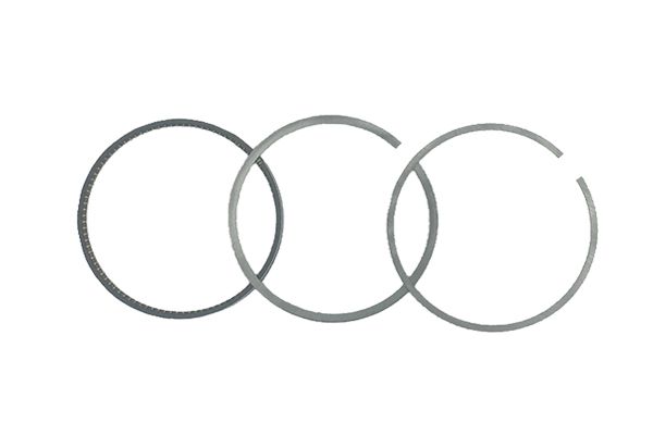 Stūmoklio žiedai Vai VW Audi 06E198151J B19052 Borsehung main product photo